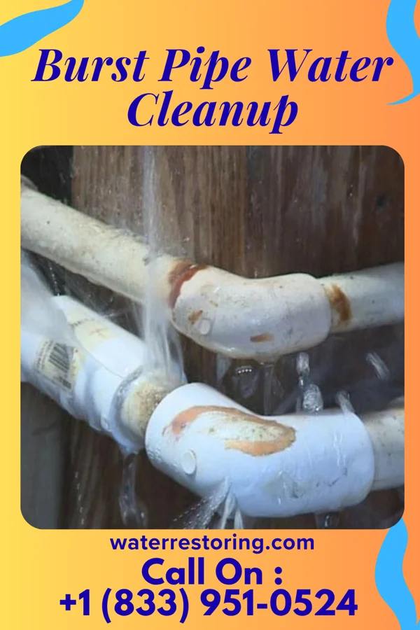 Burst Pipe Water Cleanup in Groveland Station, NY