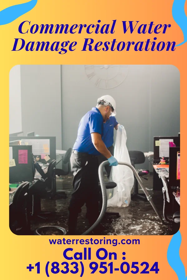 Commercial Water Damage Restoration in Groveland Station, NY