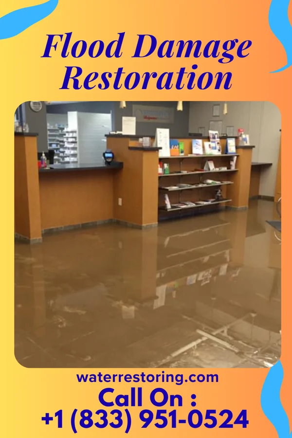 Flood Damage Restoration in Groveland Station, NY