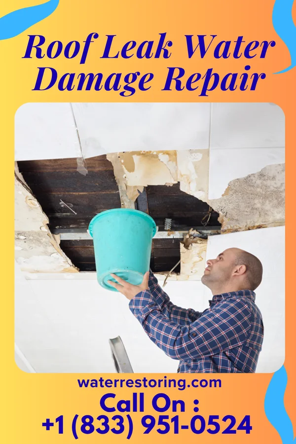 Roof Leak Water Damage Repair in Groveland Station, NY