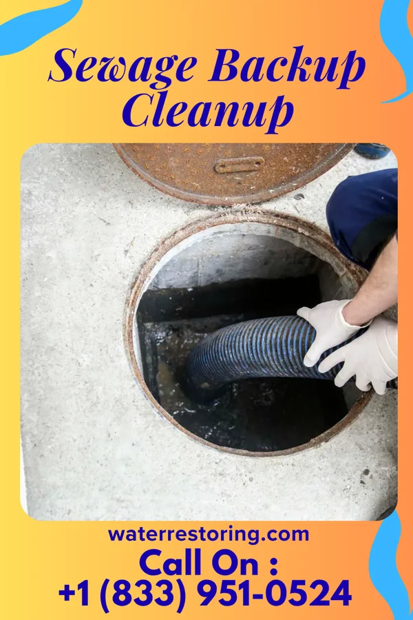 Sewage Backup Cleanup in Groveland Station, NY
