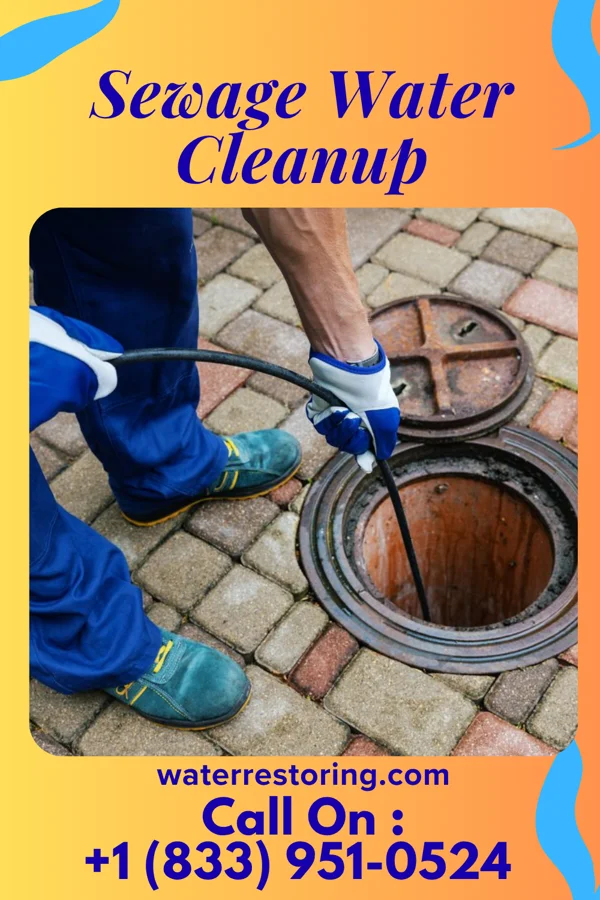 Sewage Water Cleanup in Groveland Station, NY