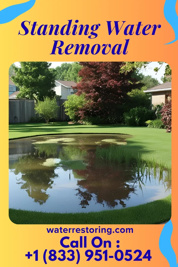 Standing Water Removal in Groveland Station, NY
